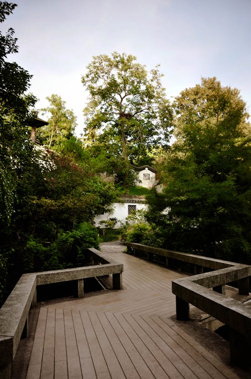 Free stock photo of architecture, closeup shot, garden