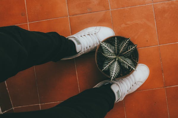 Fernando Costa - Jardineiro Profissional