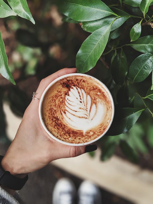 Δωρεάν στοκ φωτογραφιών με latte art, αναψυκτικό, εσπρέσο Φωτογραφία από στοκ φωτογραφιών