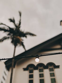 A single light bulb hanging outdoors with a blurred building and palm tree in the background, creating a moody urban atmosphere.