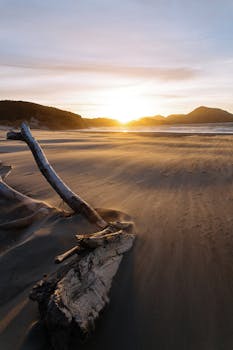 宁静的沙滩上，漂浮木与金色日落构成了一幅迷人的景色