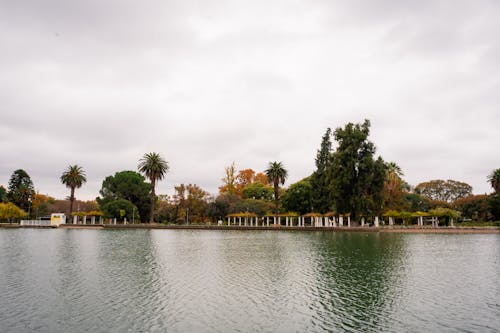 Gratis stockfoto met Bos, mendoza, schoonheid van de natuur