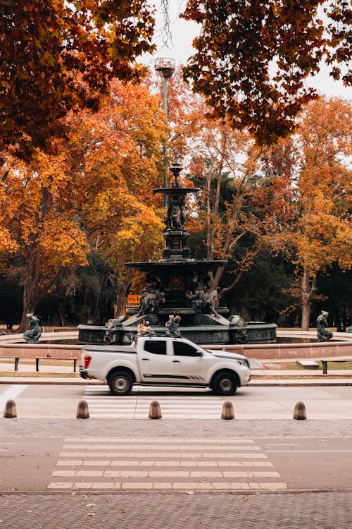 Δωρεάν στοκ φωτογραφιών με mendoza, δασικός, ομορφιά της φύσης