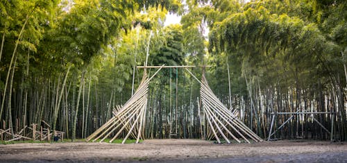 Darmowe zdjęcie z galerii z bambus, budowa, drewno
