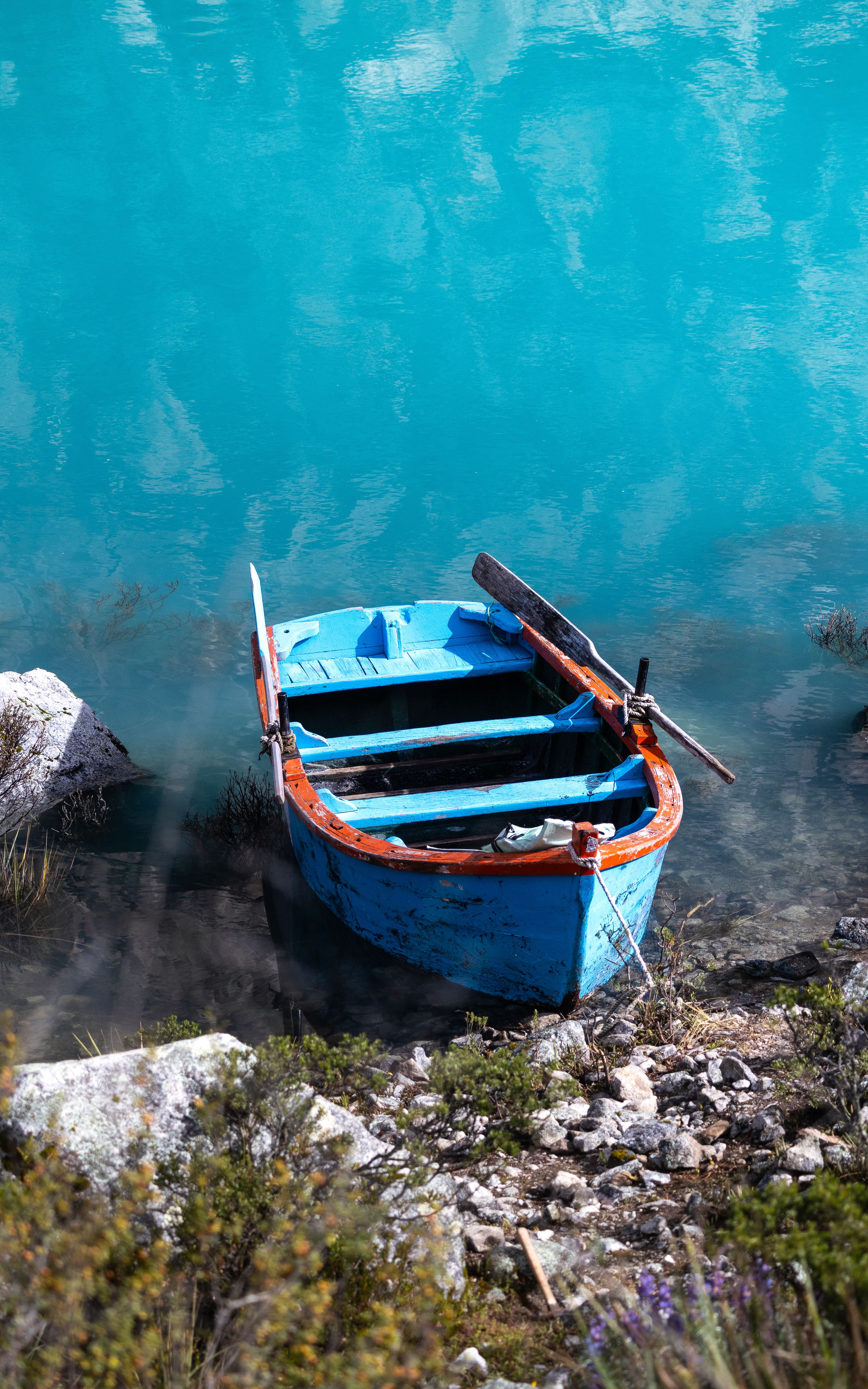 A Boat Moored on the Shore · Free Stock Photo