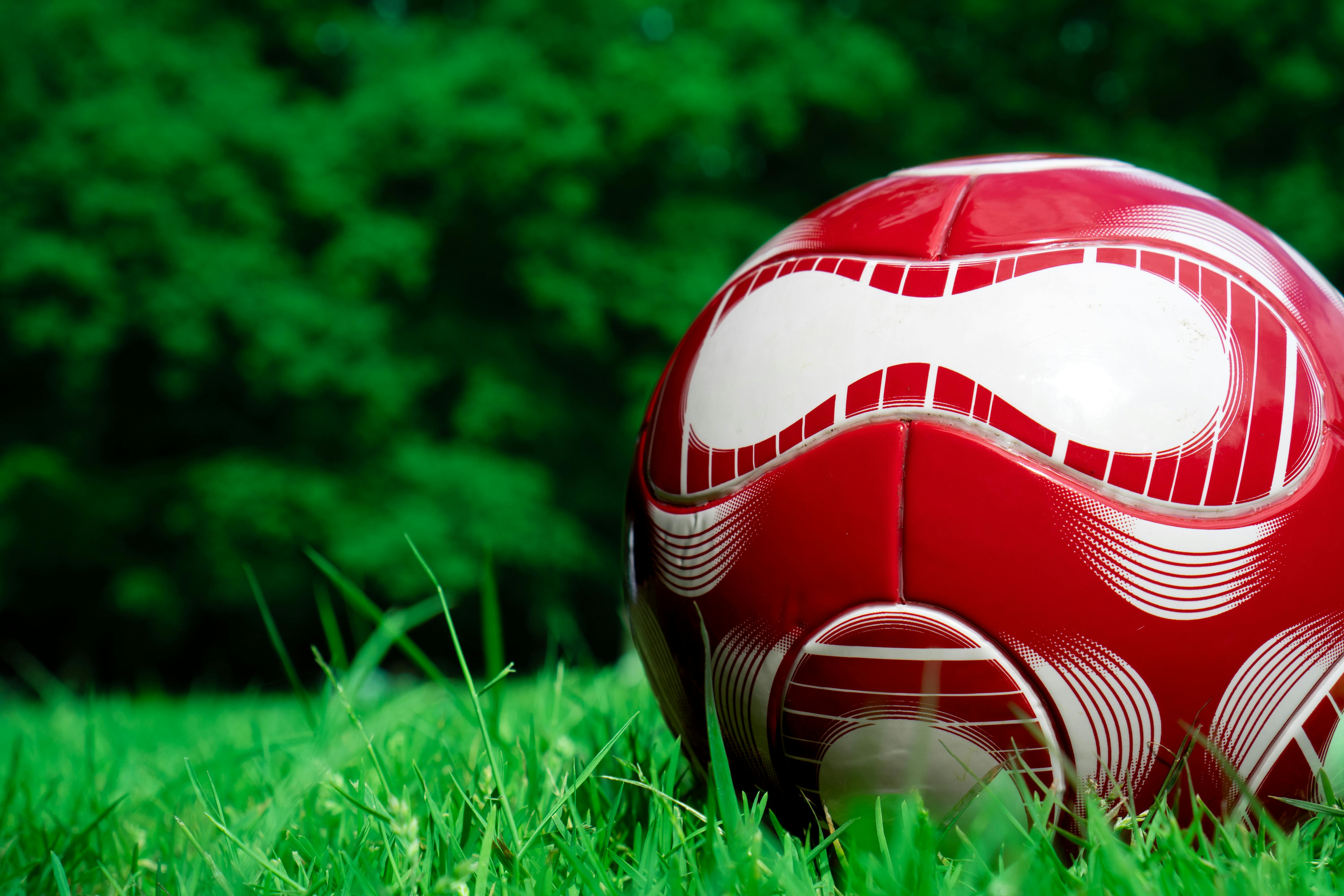 fantasy sports, fantasy football, draft strategies, league management, sports betting — Photo by Ivan Vi on Pexels