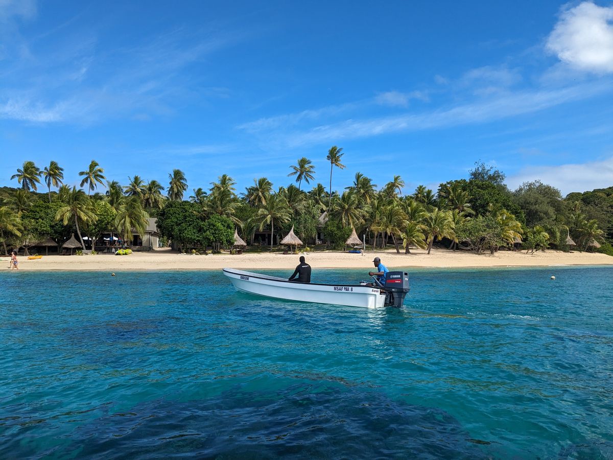 Palm trees over a Fiji beach
