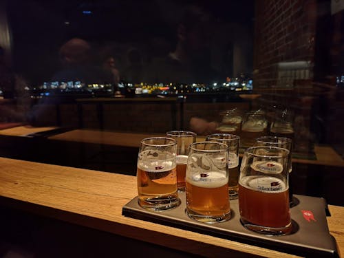 Free stock photo of bar, beer, bier