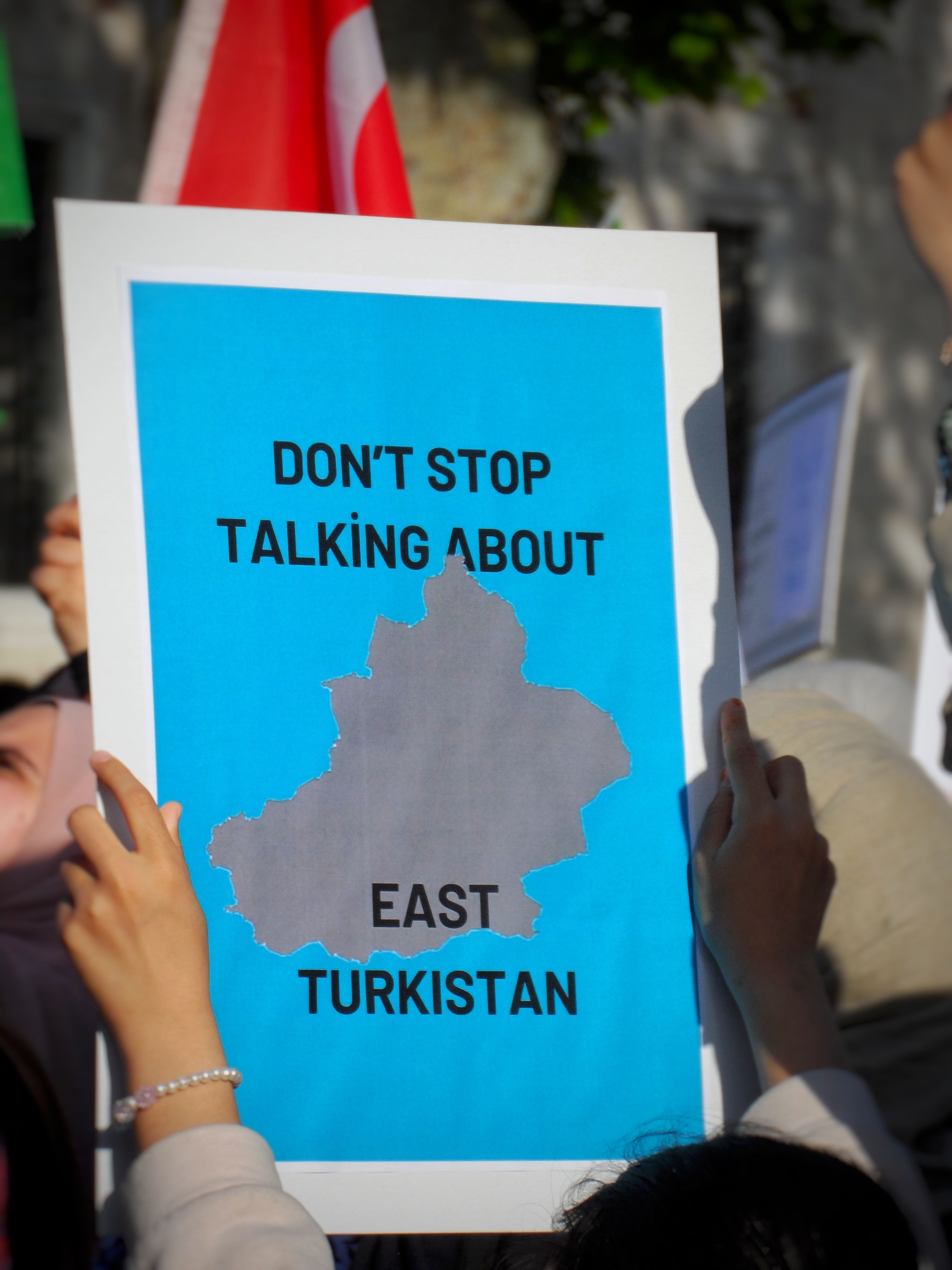 Holding a Banner at a Rally · Free Stock Photo