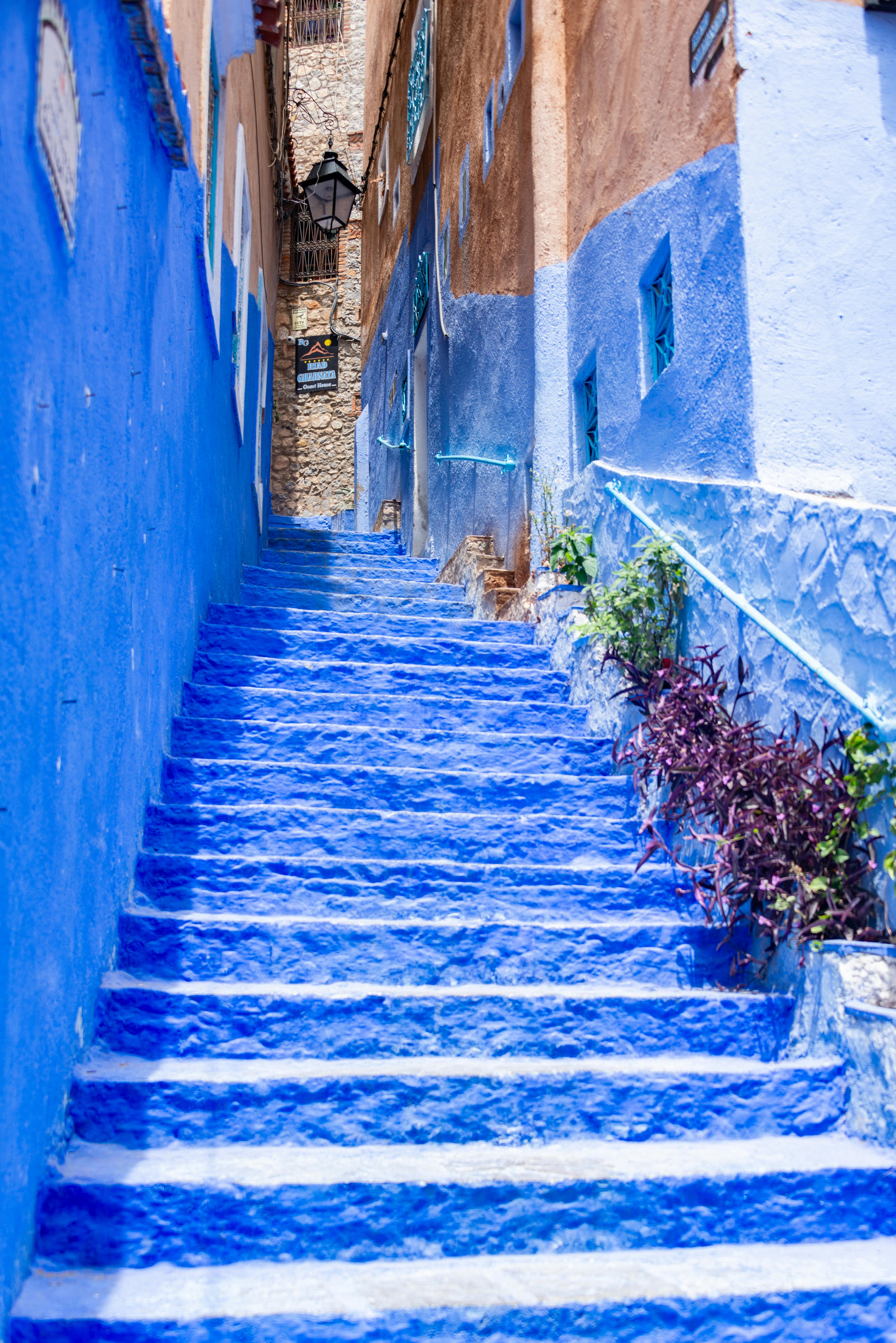 Steps Painted Blue