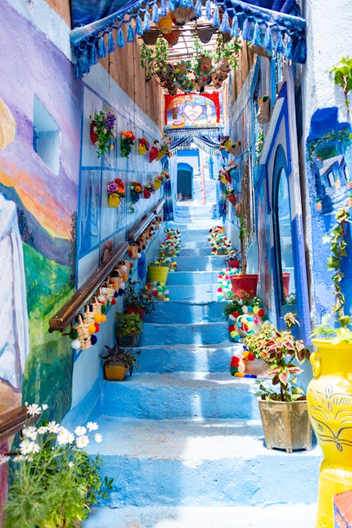 A narrow alley with colorful flowers and paintings
