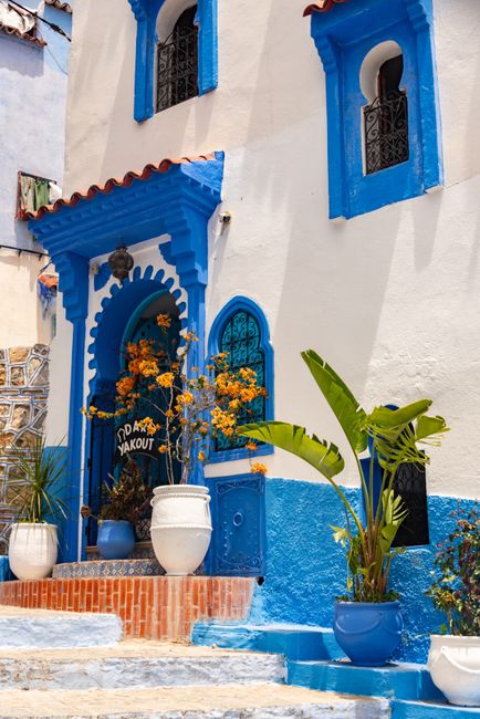 Vibrant blue and white house facade with potted plants in Morocco.