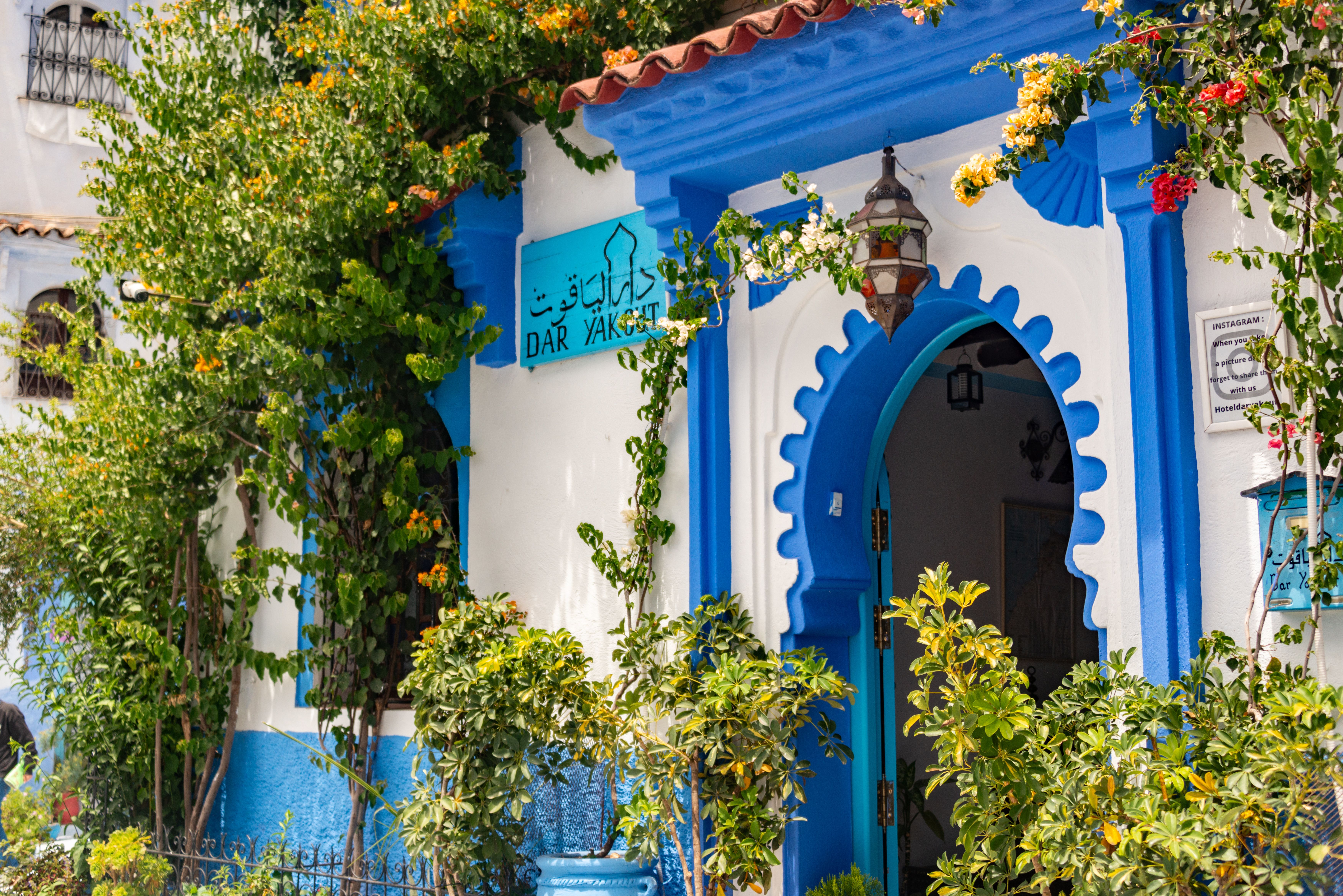Beautiful blue-and-white building entrance adorned with lush greenery in Chefchaouen, Morocco.