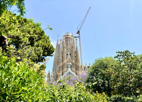 Foto stok gratis barcelona, Katedral, musim panas