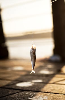 A small fish hanging from a fishing hook with a blurred water background, capturing a fishing moment.