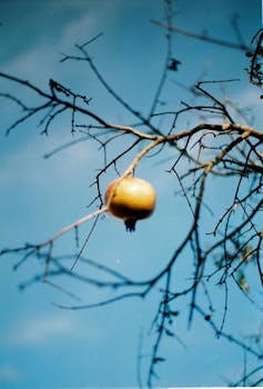 Image by Havva Yılmaz