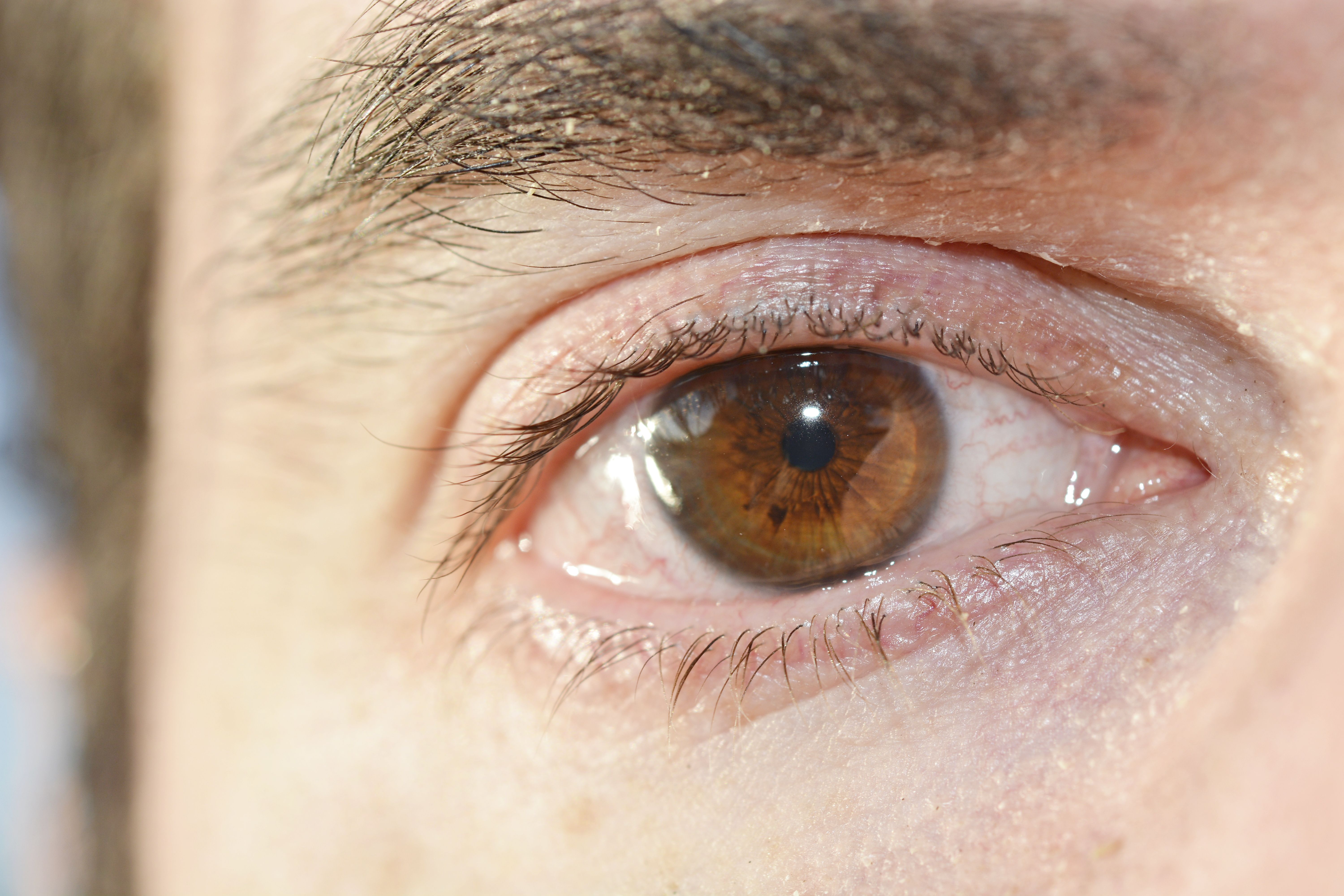 Épilation Sourcil Homme : Top Conseils