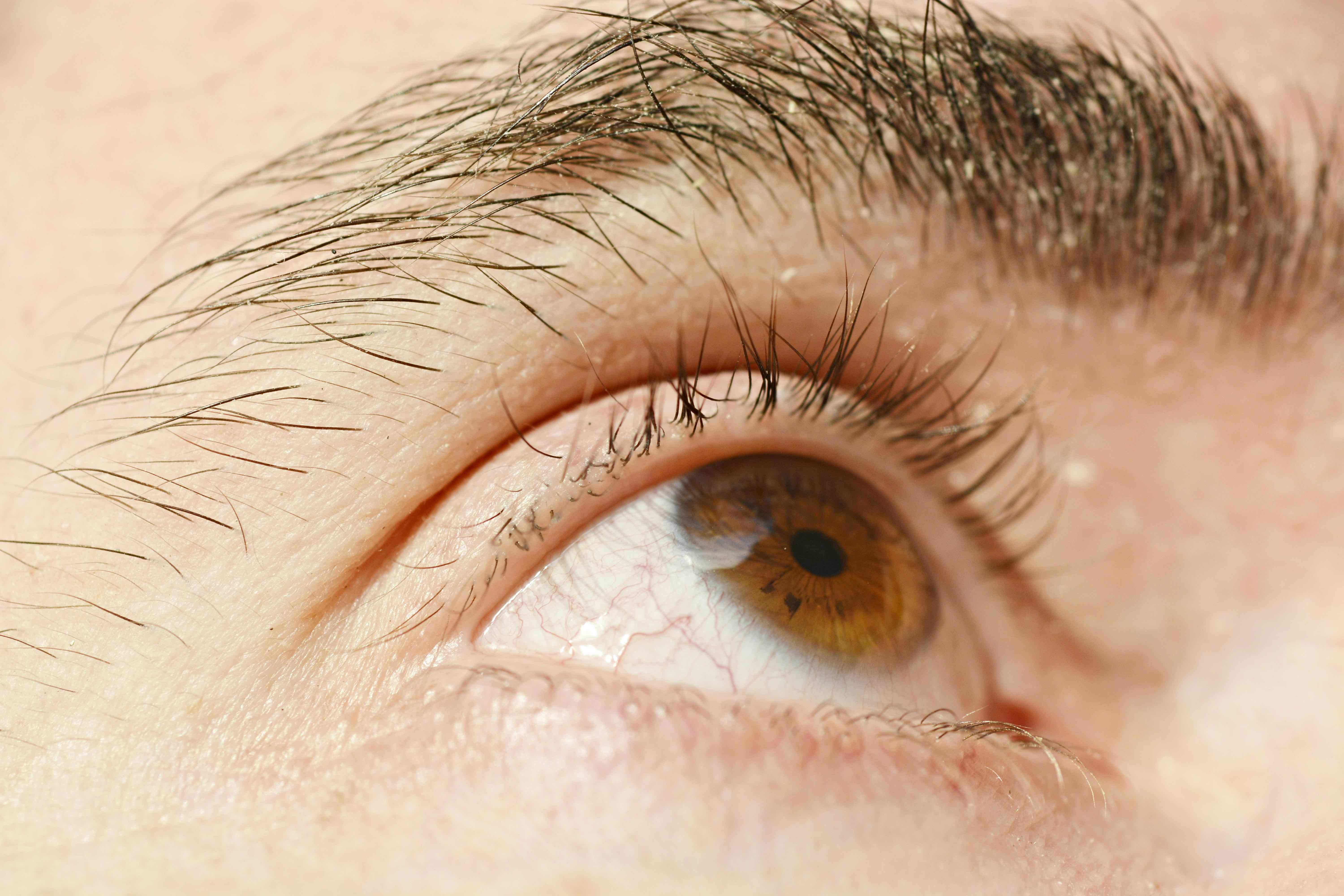 Gratuit Photos gratuites de anatomie des yeux, cils, cornée Photos