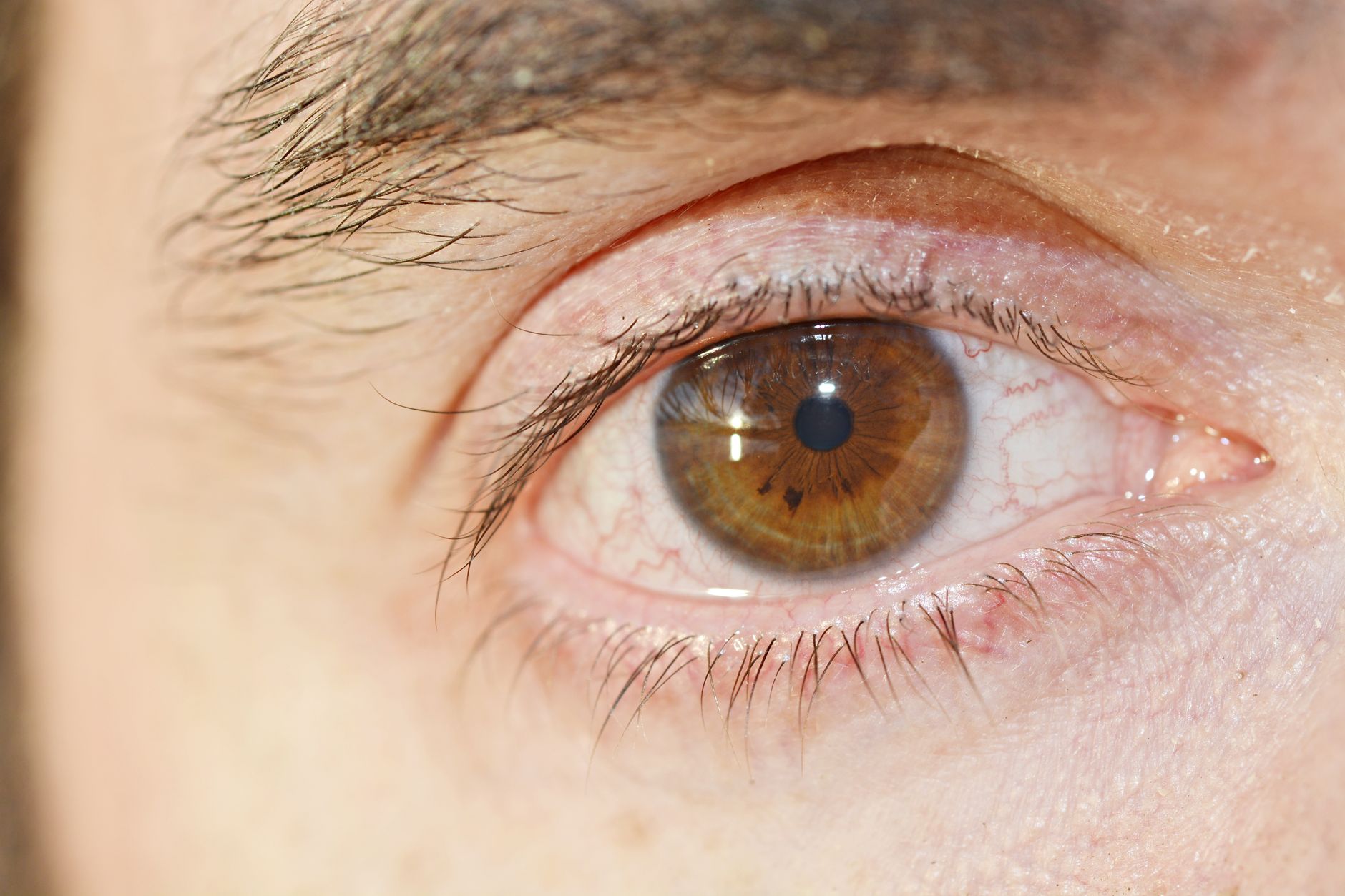 Detailed close-up image of a human eye showcasing the iris, pupil, and eyelashes.