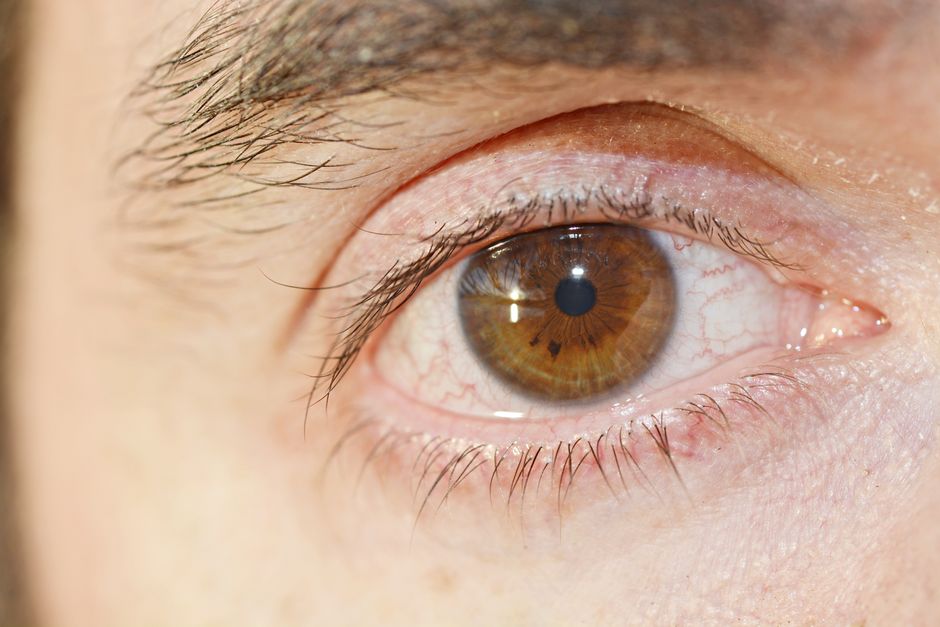 Detailed close-up image of a human eye showcasing the iris, pupil, and eyelashes.