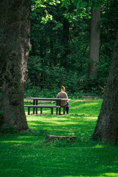Free A woman enjoying tranquility on a bench in a lush green park during summer. Stock Photo