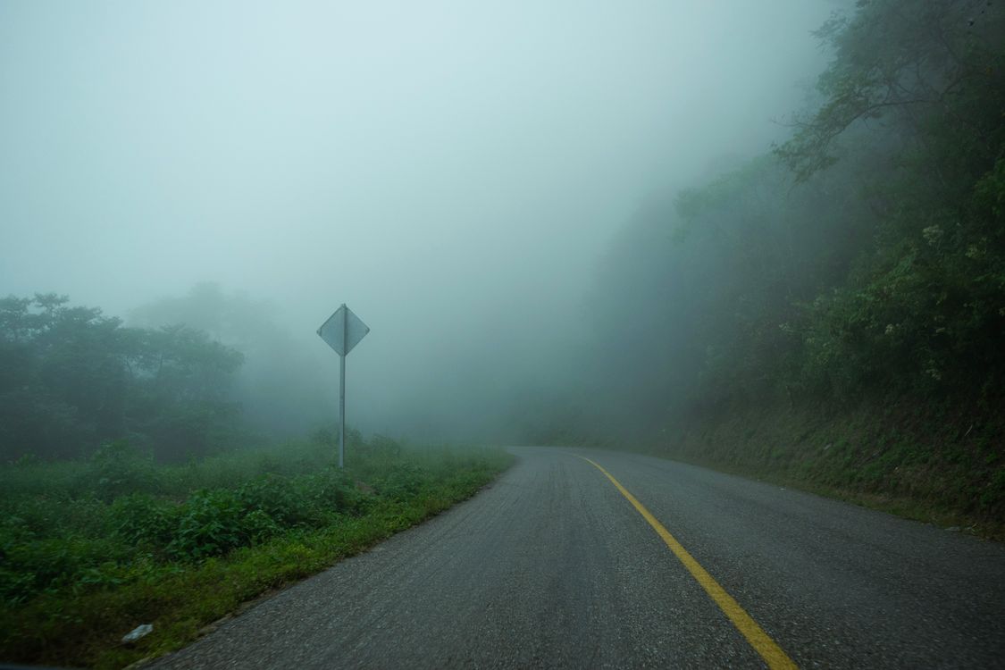 Fog over Road in Forest · Free Stock Photo