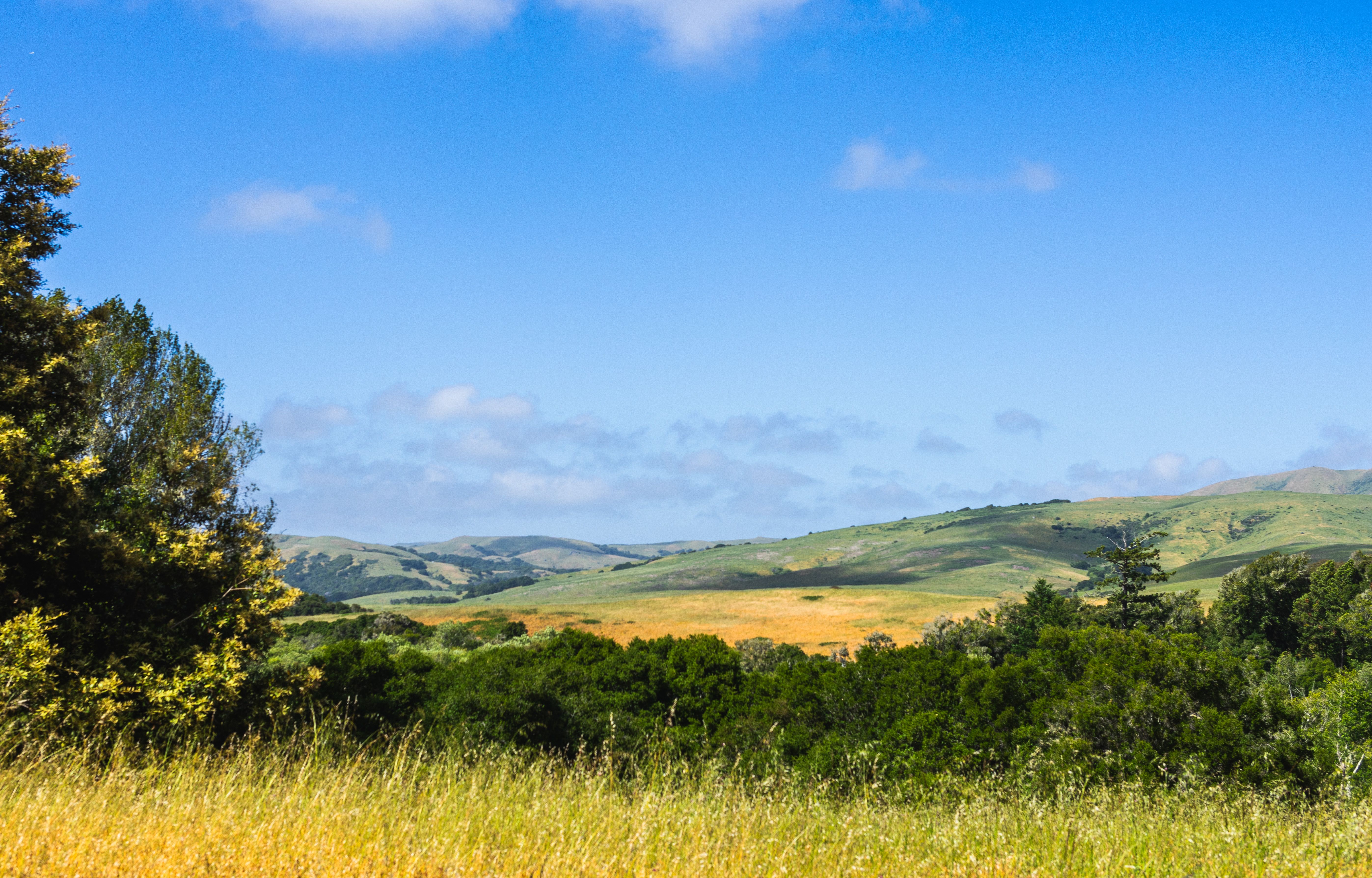 Landscape of Countryside · Free Stock Photo