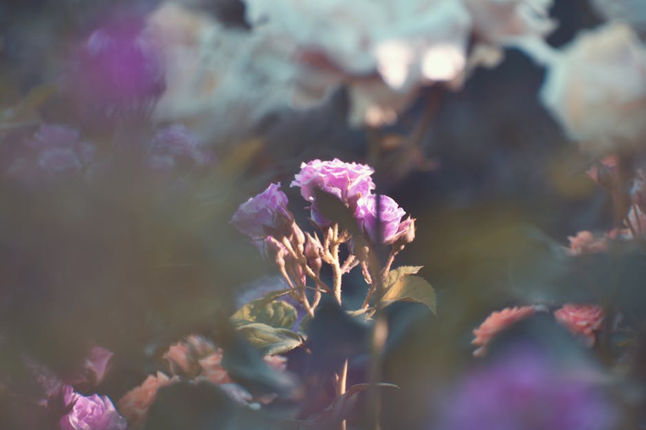 Underwater Garden