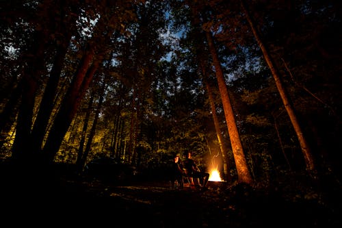 Free Photo of People Camping in Forest Stock Photo