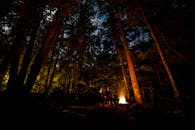 在北卡罗来纳州塔波科，我们安静地在树林中噼啪作响的篝火旁露营