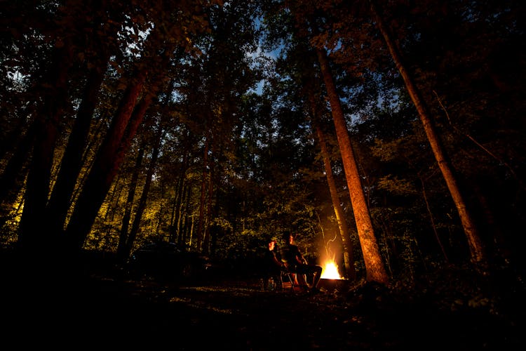 Photo Of People Camping In Forest