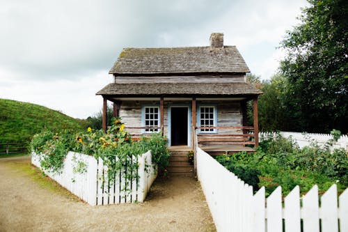 Фото бревенчатого дома в окружении растений