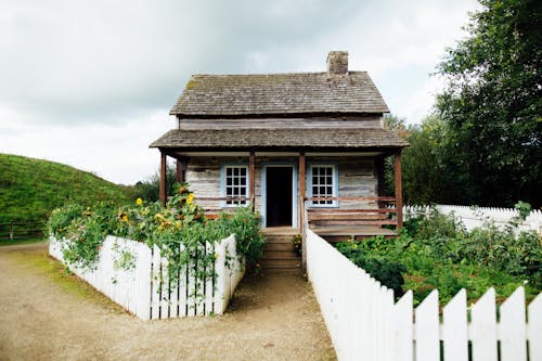 Foto Van Blokhut Omgeven Door Planten