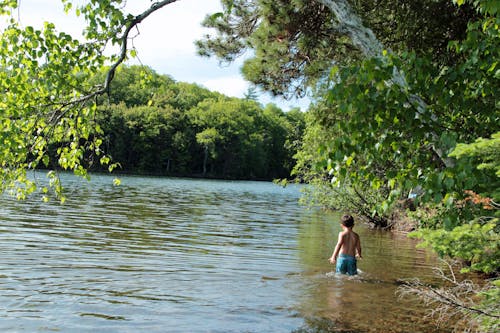 Free stock photo of beauty in nature, boy, exploring