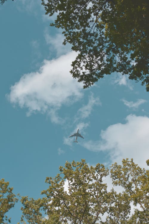 Foto De ángulo Bajo De Avión Volando