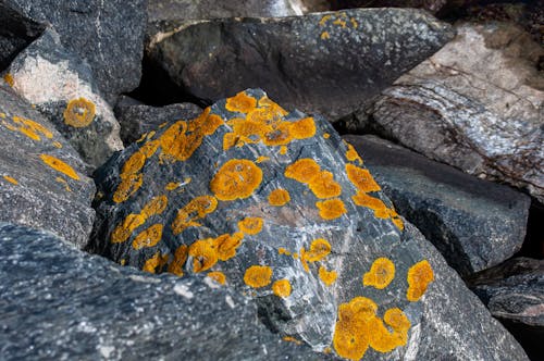 Δωρεάν στοκ φωτογραφιών με rock, ανώμαλος, αφαίρεση