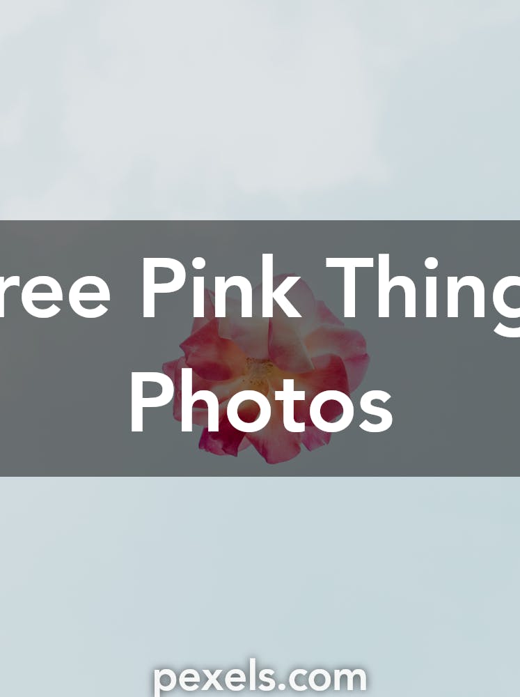 500+ Engaging Pink Things Photos · Pexels · Free Stock Photos