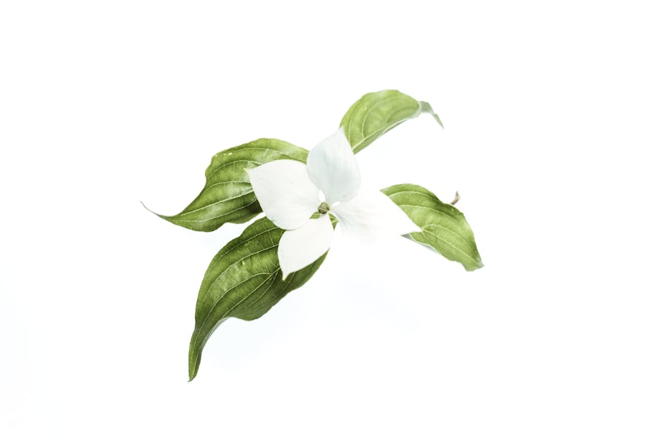Unpacking Features That Elevate Freshness and Convenience
