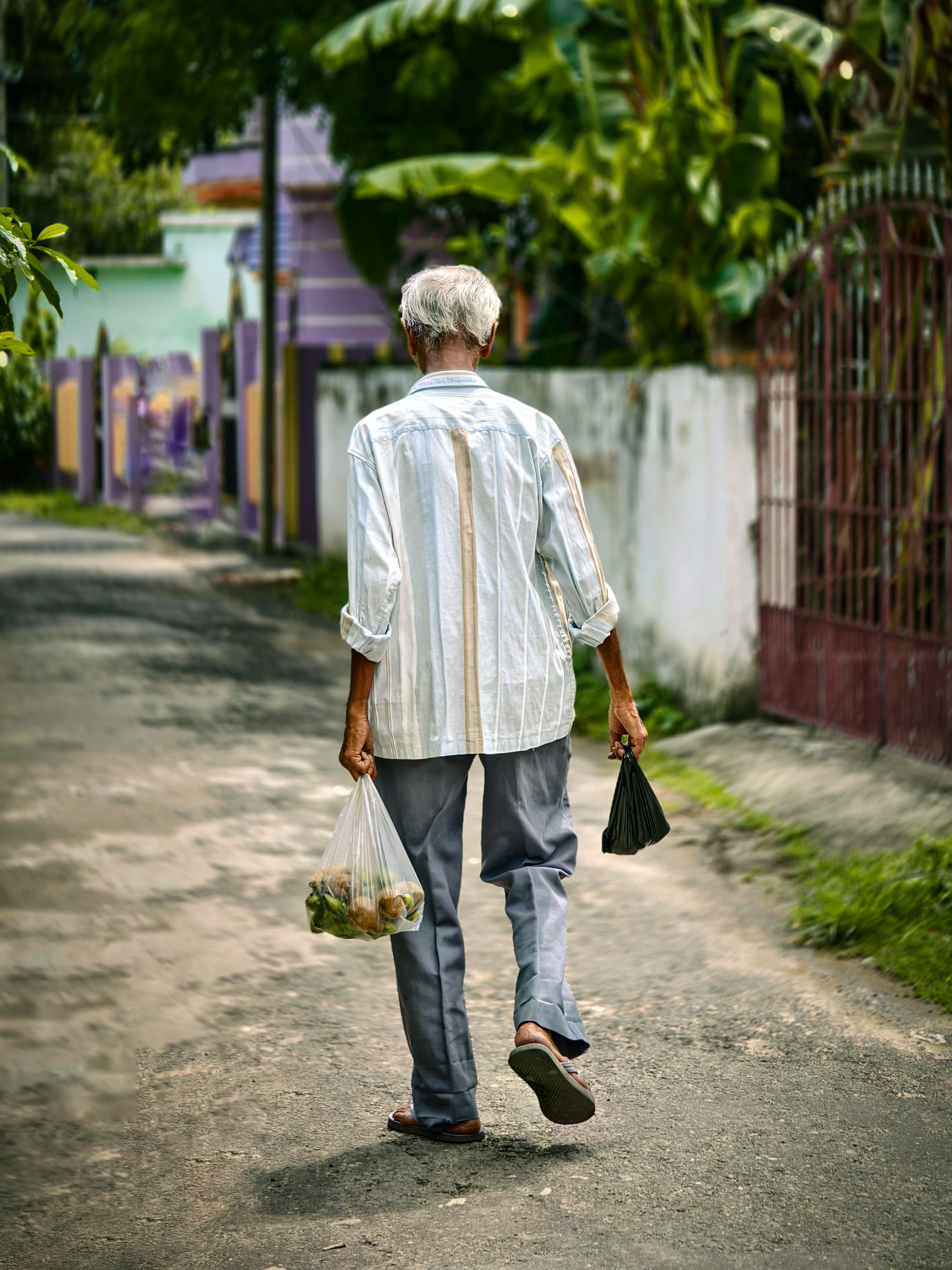 Elderly Man Walking on a Path · Free Stock Photo
