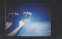 双手捧着鲜花，映衬着明亮的蓝天，创意双重曝光