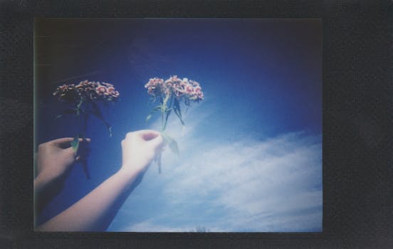 双手捧着鲜花，映衬着明亮的蓝天，创意双重曝光