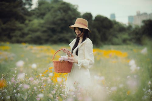 Gratis stockfoto met Aziatische vrouw, bloemen, mand