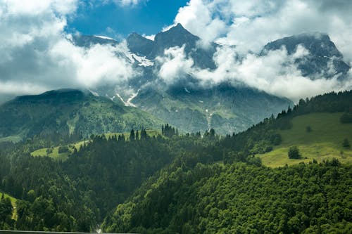 Landscape Photo of Trees and Mountain Ranges