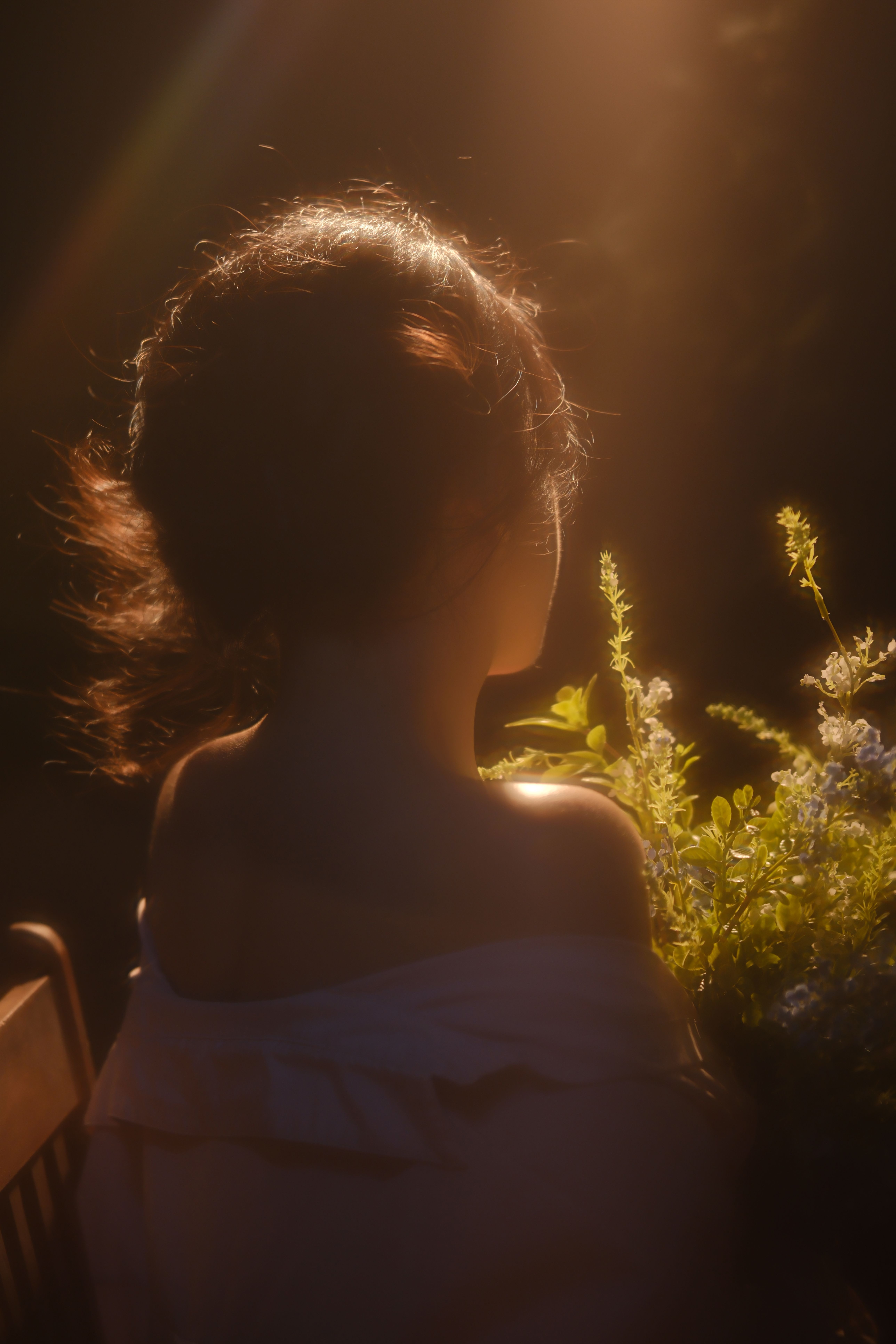 A Woman Sitting Outdoors at Sunset · Free Stock Photo