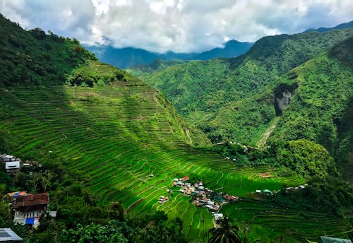 Fotografia Aérea De Terraços De Arroz