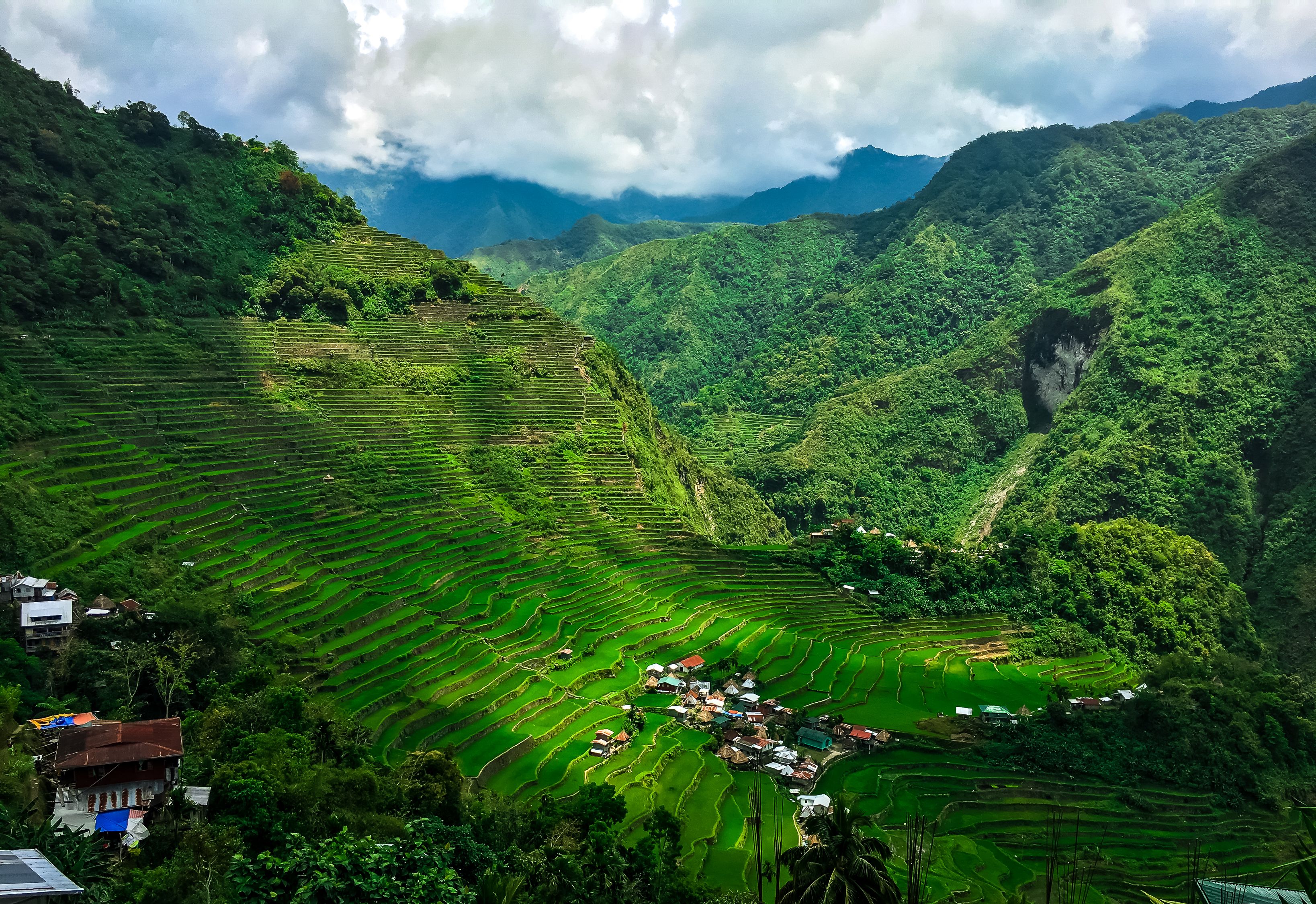 Aerial Photography of Rice Terraces · Free Stock Photo