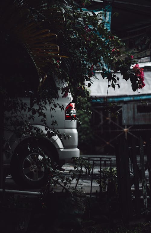 Foto De Veículo Estacionado Perto De Plantas Verdes Escuras