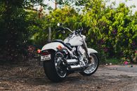 Photo of a White Motorcycle Parked Beside Plants
