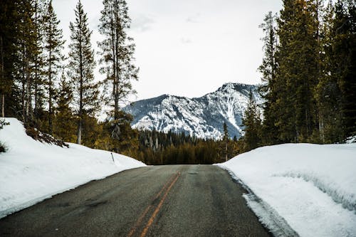 Leere Straße Mit Schneebedeckter Landschaft