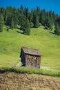 Photo of Brown Wooden Shed Near Trees